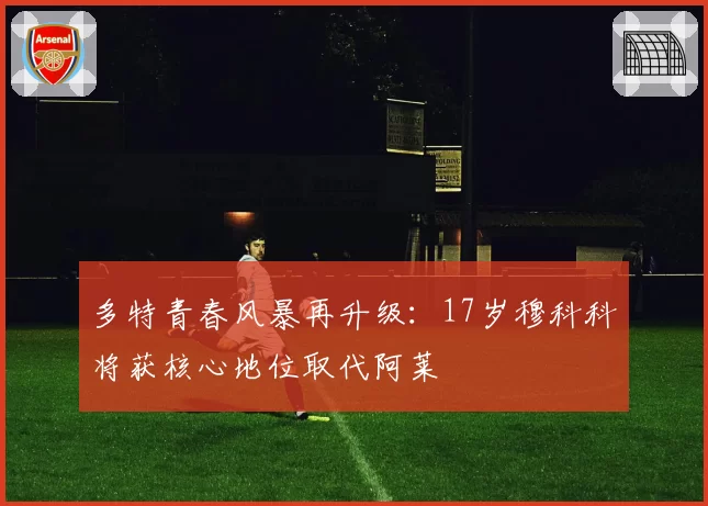 多特青春风暴再升级：17岁穆科科将获核心地位取代阿莱