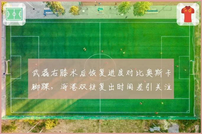 武磊右膝术后恢复进度对比奥斯卡脚踝,海港双核复出时间差引关注