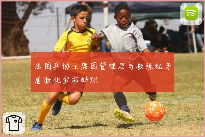法国乒协主席因管理层与教练组矛盾激化宣布辞职