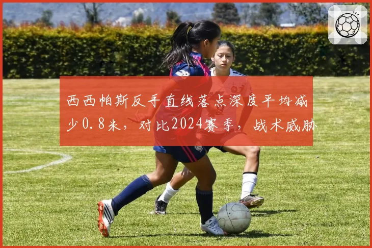 西西帕斯反手直线落点深度平均减少0.8米,对比2024赛季,战术威胁性明显下滑